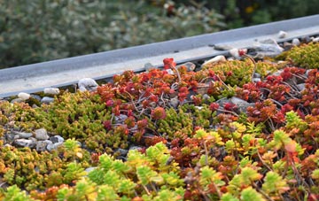 the cost of Upper Dallachy green roof installation