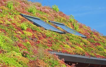 Upper Dallachy living roof systems
